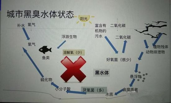 江蘇億元投資治污新技術 石墨烯能否治理黑臭水體？