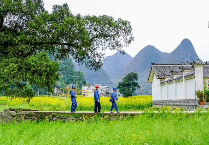 平塘供電局：“網(wǎng)格化”服務，護航“菜籃子”