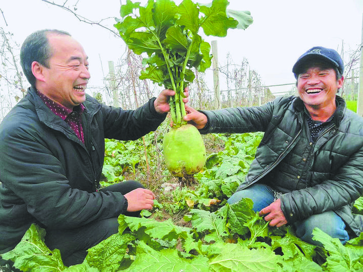 【全國脫貧攻堅先進個人】王新奇：用生命詮釋使命