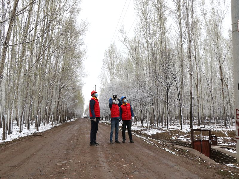 國網(wǎng)伊犁伊河供電公司四月飛雪，電力員工巡視線路保供電