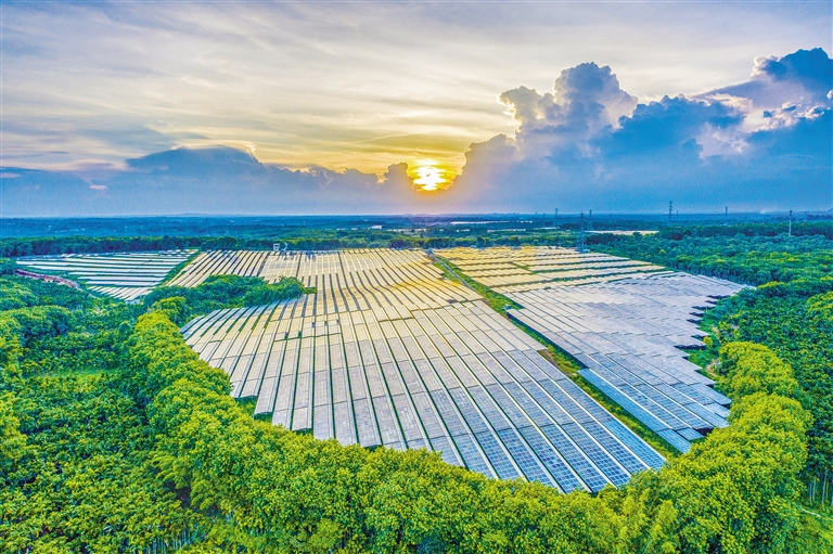 海南電網(wǎng)公司加快構(gòu)建現(xiàn)代供電服務體系，驅(qū)動鄉(xiāng)村振興電力引擎