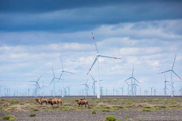 新疆電網(wǎng)新能源裝機突破4000萬千瓦 占比36.09%