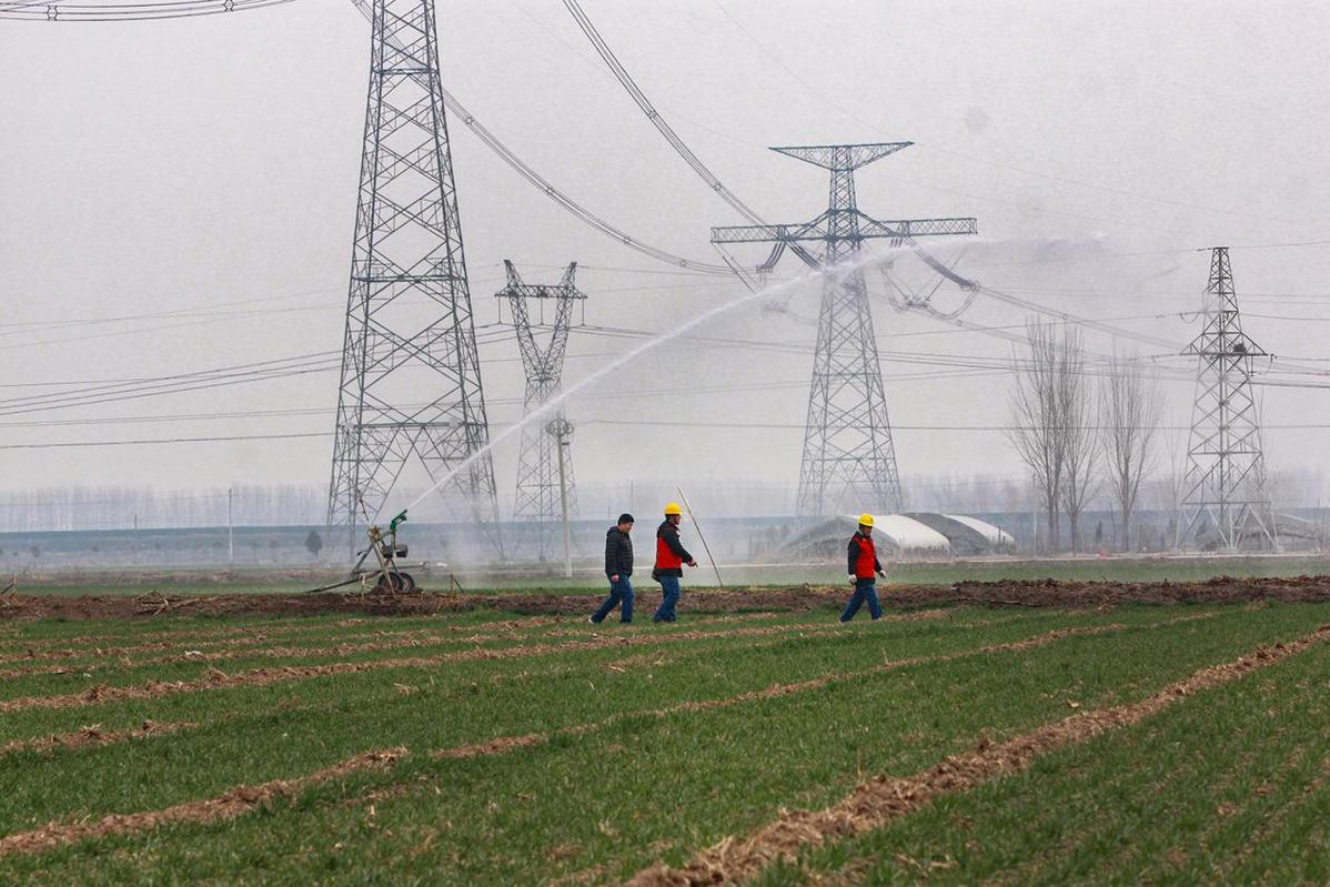 河南博愛(ài)：春耕春灌人倍忙 電力服務(wù)入“心田”