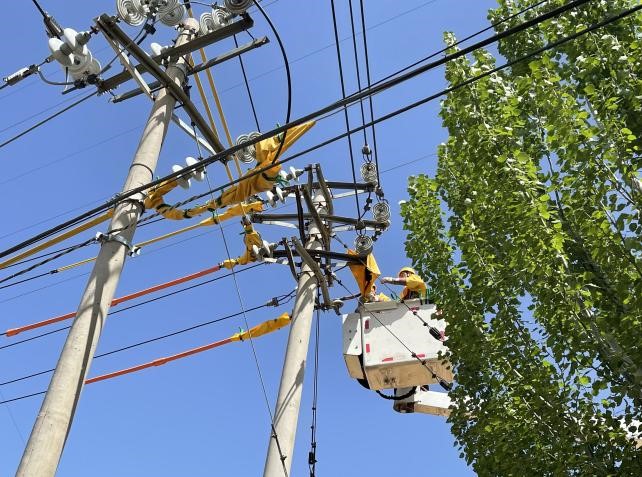 帶電作業(yè)除隱患，安全供電有保障