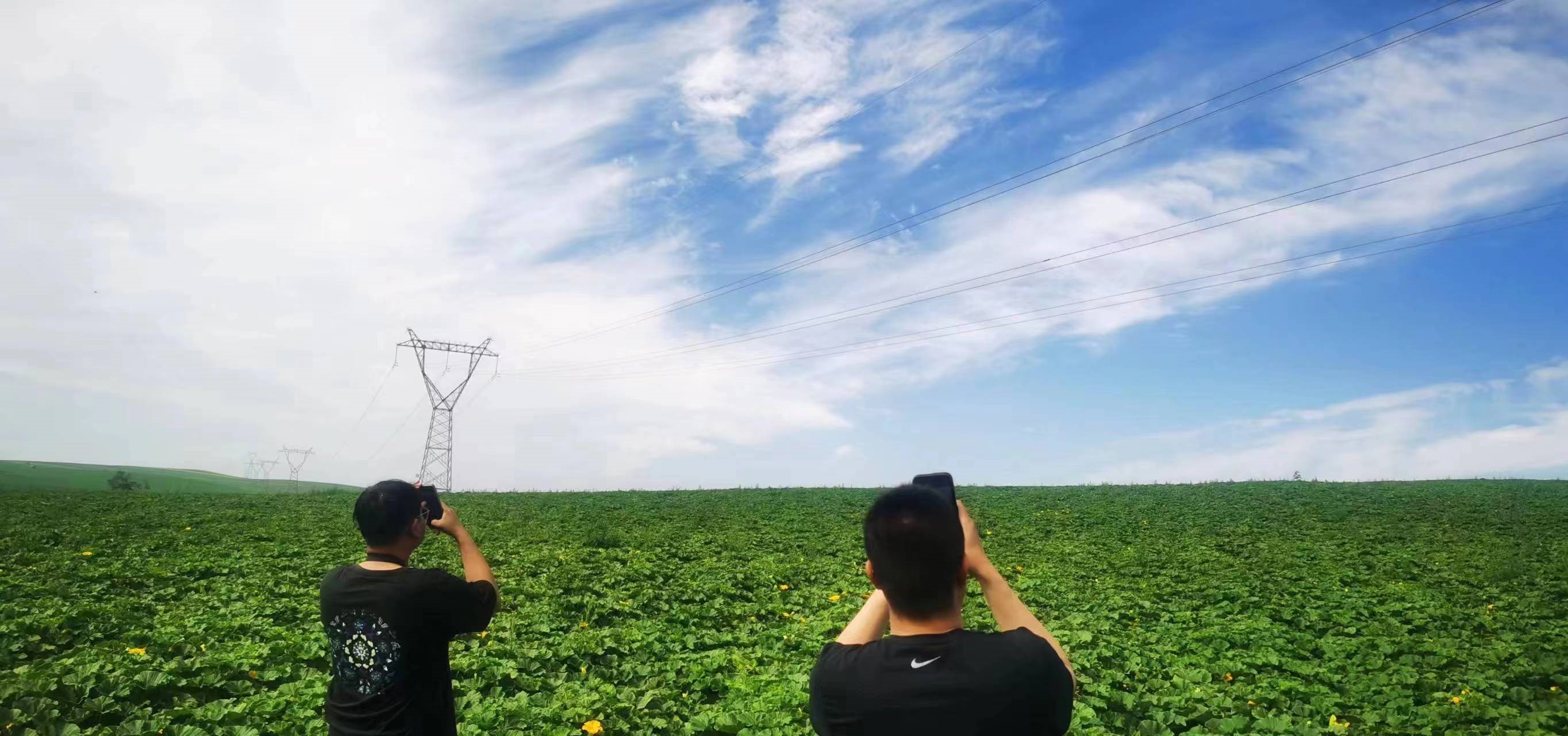 四子王輸變電管理處：防外力破壞，助安全運行