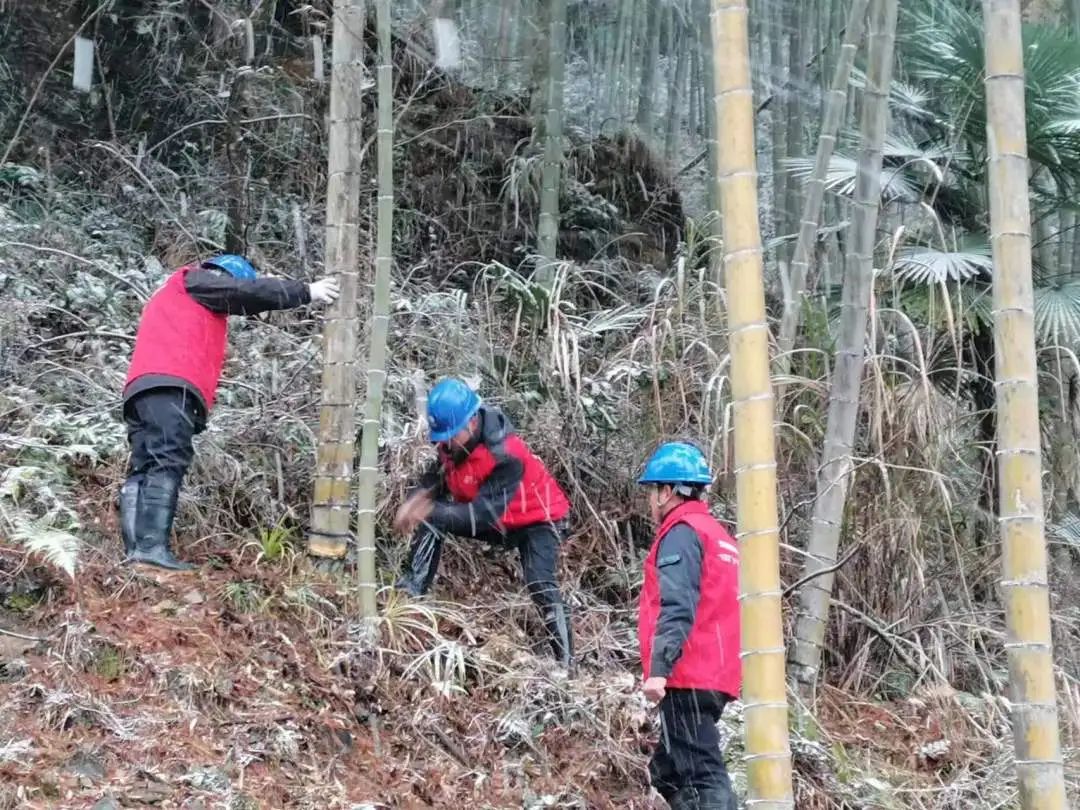 國網建陽區(qū)供電公司全力防抗今冬首場降雪寒潮