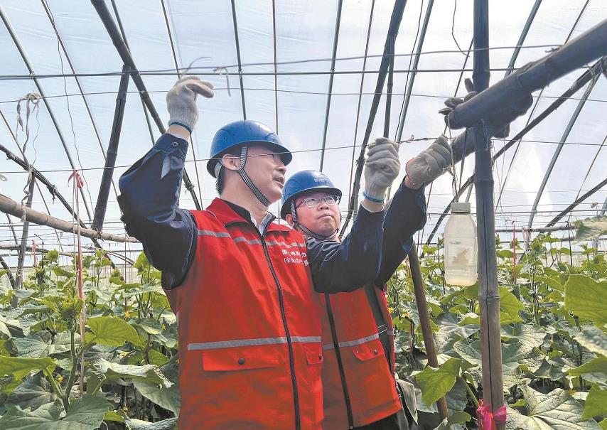 河北辛集：幫忙修復(fù)受損線路 恢復(fù)電氣化大棚用電