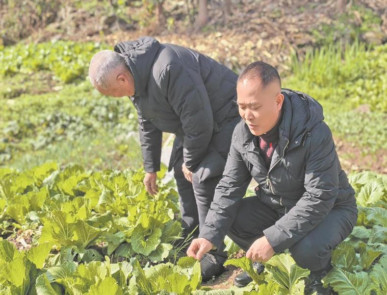 陽劍：把村民的事當(dāng)自己的事辦