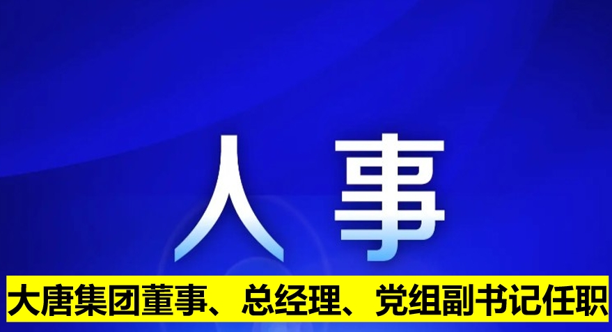 大唐集團董事、總經(jīng)理、黨組副書記任職